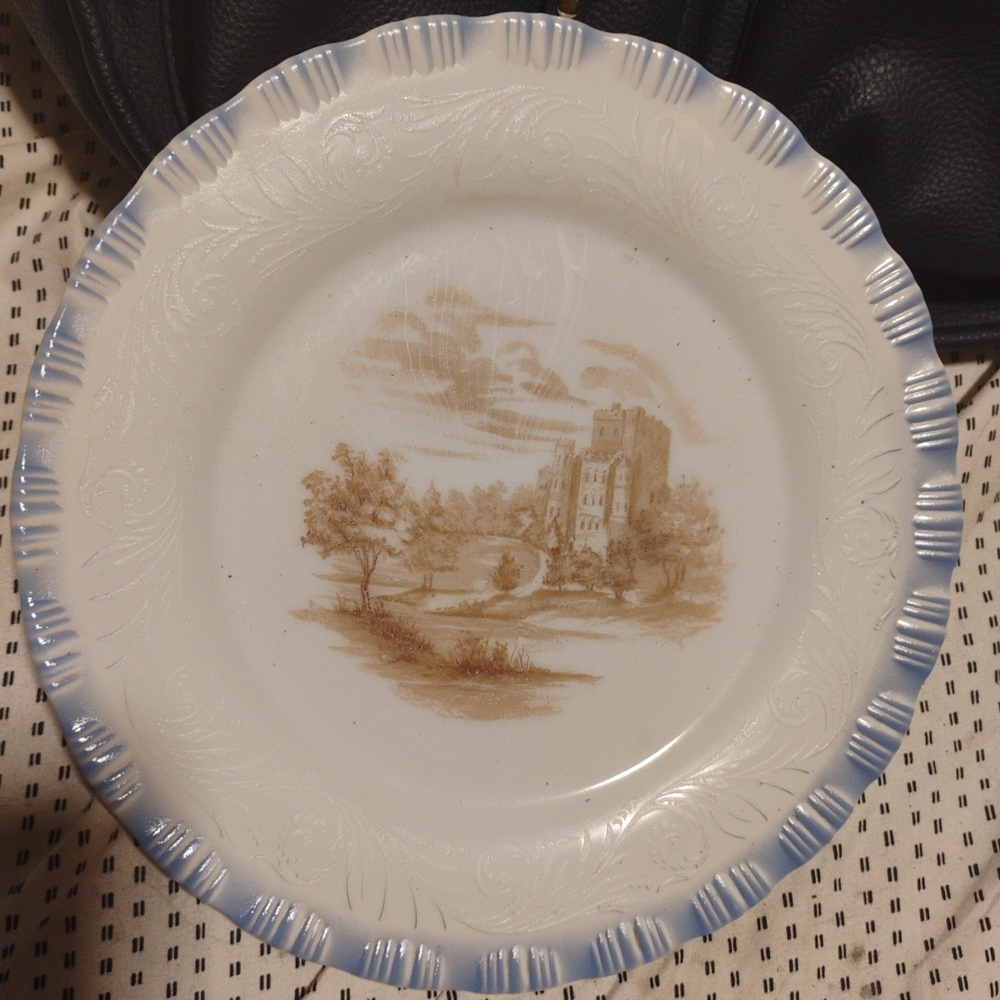Vintage Scenic Blue and Brown Plate